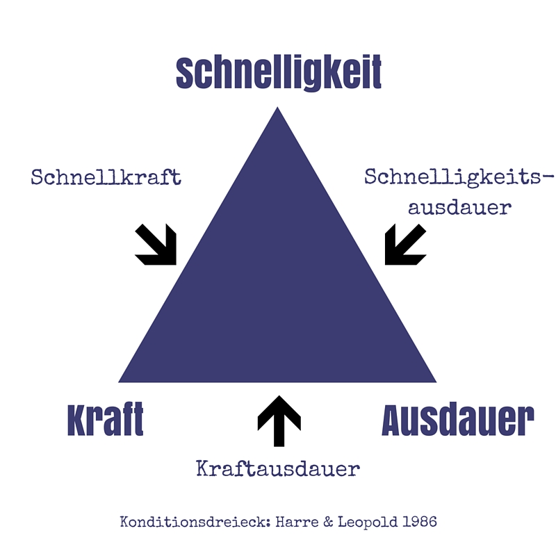 Konditionsdreieck - mehr als nur Ausdauer